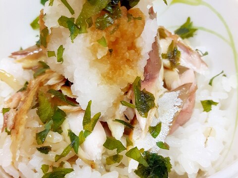 青魚をおいしく！塩サバと大根おろしの丼・大葉添え♪